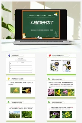 苏教版小学科学三下课件教案 3.植物开花了（福建 林临婧）