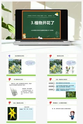 苏教版小学科学三下课件教案 3.植物开花了（青州 崔桂娟）（第一课时）