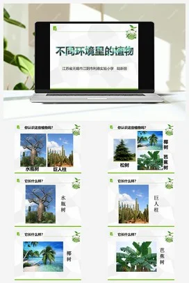 苏教版小学科学三下课件教案 5.不同环境里的植物（江苏 陆新丽）