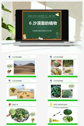 苏教版小学科学三下课件教案 6.沙漠里的植物（江苏 杨玥）