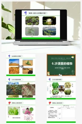 苏教版小学科学三下课件教案 6.沙漠里的植物（福建 林雅妮）
