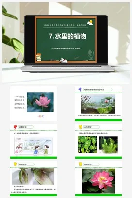 苏教版小学科学三下课件教案 7.水里的植物（福建 李晓钧）