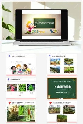 苏教版小学科学三下课件教案 7.水里的植物（福建 江雅）