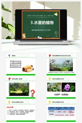 苏教版小学科学三下课件教案 7.水里的植物（福建 陈茜）