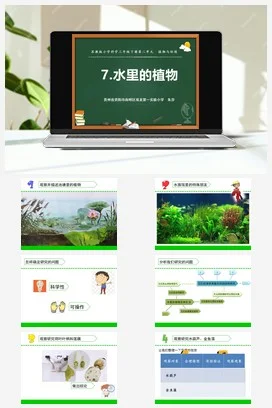 苏教版小学科学三下课件教案 7.水里的植物（贵州 朱莎）
