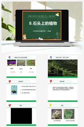 苏教版小学科学三下课件教案 8.石头上的植物（山东 程艳丽）