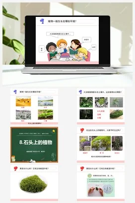 苏教版小学科学三下课件教案 8.石头上的植物（福建 陈景生）