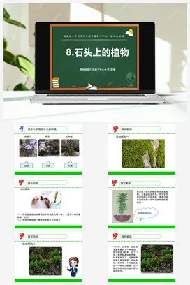 苏教版小学科学三下课件教案 8.石头上的植物（贵州 舒敏）