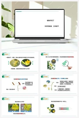 苏教版科学三年级下1.3《植物开花了》课件 教案 练习 素材