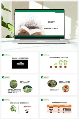 苏教版科学三年级下1.4《植物结果了》课件+教案+练习