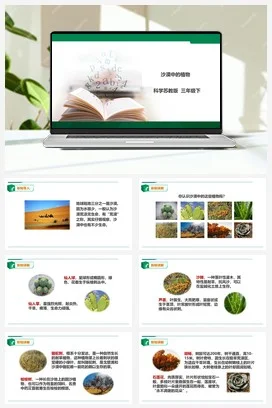 苏教版科学三年级下2.6《沙漠中的植物》课件+教案+练习+素材