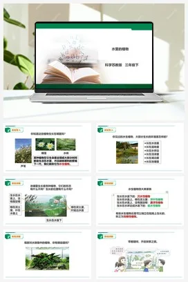 苏教版科学三年级下2.7《水里的植物》课件+教案+练习+素材