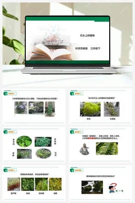 苏教版科学三年级下2.8《石头上的植物》课件+教案+练习+素材