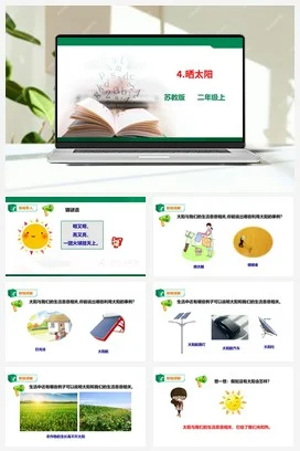 苏教版小学科学二上 第04课 晒太阳 课件+教案