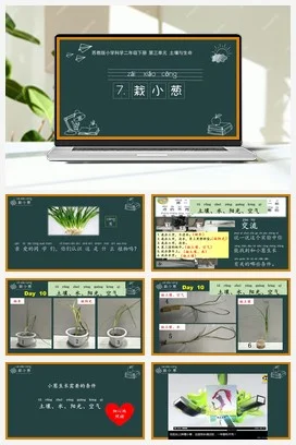 苏教版小学科学二下课件教案课件教案 7.栽小葱 课件（10张PPT）+教案+实验记录单