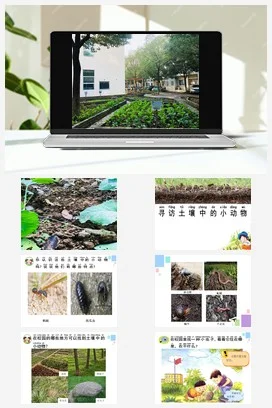 苏教版小学科学二下课件教案课件教案 9.寻找土壤里的小动物 课件（13张PPT）+教案+实验记录单+练习+素材