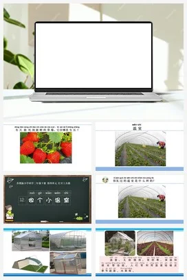 苏教版小学科学二下课件教案课件教案12.做个小温室（陕西 孙彩月）