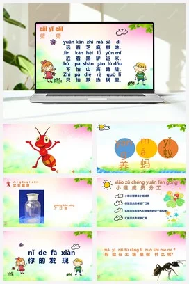 苏教版小学科学二下课件教案课件教案8.养蚂蚁（四川 余慧）