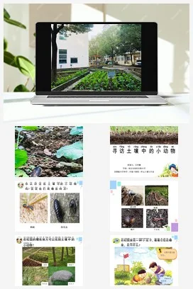 苏教版小学科学二下课件教案课件教案9.寻找土壤里的小动物（江苏 吴玲娜）