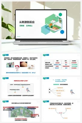 苏教版小学科学五上 5.18《从刺激到反应》课件（33张PPT） 教案 练习 素材