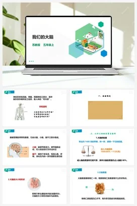 苏教版小学科学五上 5.19《我们的大脑》课件（27张PPT） 教案 练习