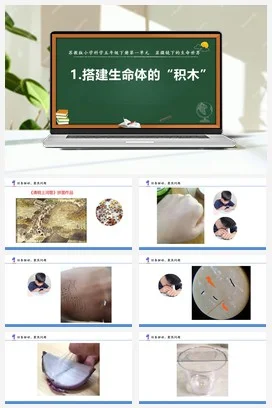 苏教版小学科学五下 1.1搭建生命体的“积木”（课件）
