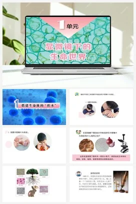 苏教版小学科学五下 1.1搭建生命体的积木（课件）