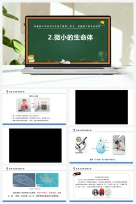 苏教版小学科学五下 1.2.微小的生命体（课件+素材）