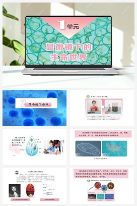 苏教版小学科学五下 1.2微小的生命体（课件）