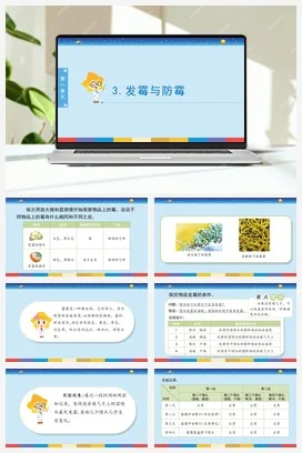 苏教版小学科学五下 1.3《发霉与防霉》