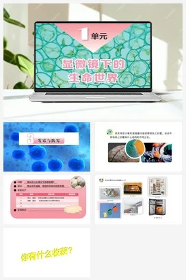 苏教版小学科学五下 1.3发霉与防霉-（课件）