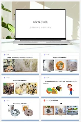苏教版小学科学五下 1.3发霉与防霉（课件）