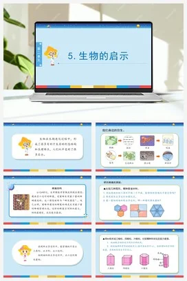 苏教版小学科学五下 2.5《生物的启示》