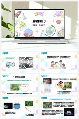 苏教版小学科学五下 2.5《生物的启示》课件（28张PPT）+教案+练习+素材