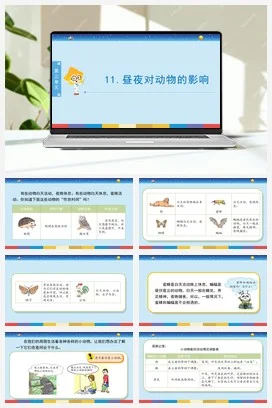 苏教版小学科学五下 3.11《昼夜对动物的影响》