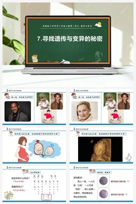 苏教版小学科学六上 1.7 寻找遗传与变异的秘密（课件+教案+素材）