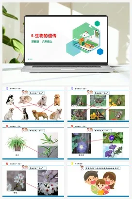 苏教版小学科学六上 2.5 生物的遗传 课件（18张PPT）+教案+素材