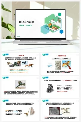 苏教版小学科学六上 3.10《用化石作证据》课件（27张PPT） 教案 练习