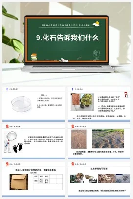 苏教版小学科学六上 3.9 化石告诉我们什么（课件+教案+素材）