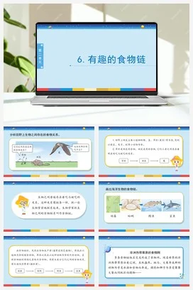 苏教版小学科学六 2.6：有趣的食物链课件