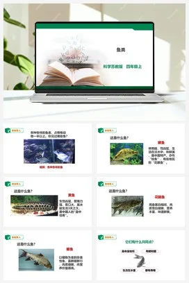 苏教版小学科学四上 1.2《鱼类》课件（27张PPT）+教案+练习+素材