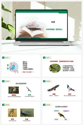苏教版小学科学四上 1.3《鸟类》课件（33张PPT）+教案+练习+素材