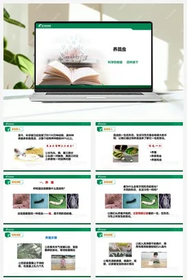 苏教版小学科学四下3.10《养昆虫》课件(40张PPT）＋教案＋练习＋素材