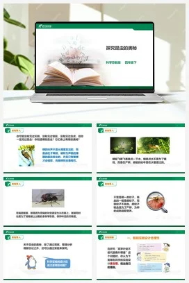 苏教版小学科学四下3.11《探究昆虫的奥秘》课件（29张PPT）教案＋练习＋素材