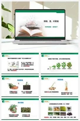 苏教版小学科学四下4.13《用根、茎、叶繁殖》课件（28张PPT）+教案+练习+素材