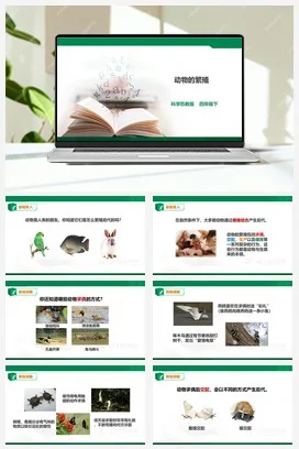 苏教版小学科学四下4.14《动物的繁殖》课件（33张PPT）教案 练习 素材