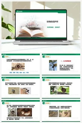 苏教版小学科学四下5.16《动物的庇护所》课件（31张PPT） 教案 练习 素材