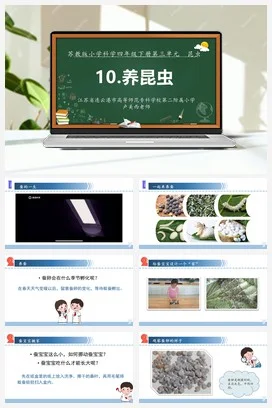 苏教版科学四年级下10.养昆虫（第一课时）（连云港 卢美西）