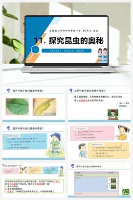 苏教版科学四年级下11.探究昆虫的奥秘（南京 黄敏）