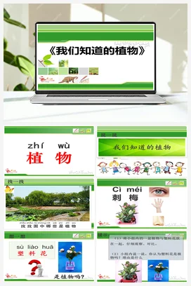 1.1我们知道的植物 课件+教案 小学科学教科版一年级上册